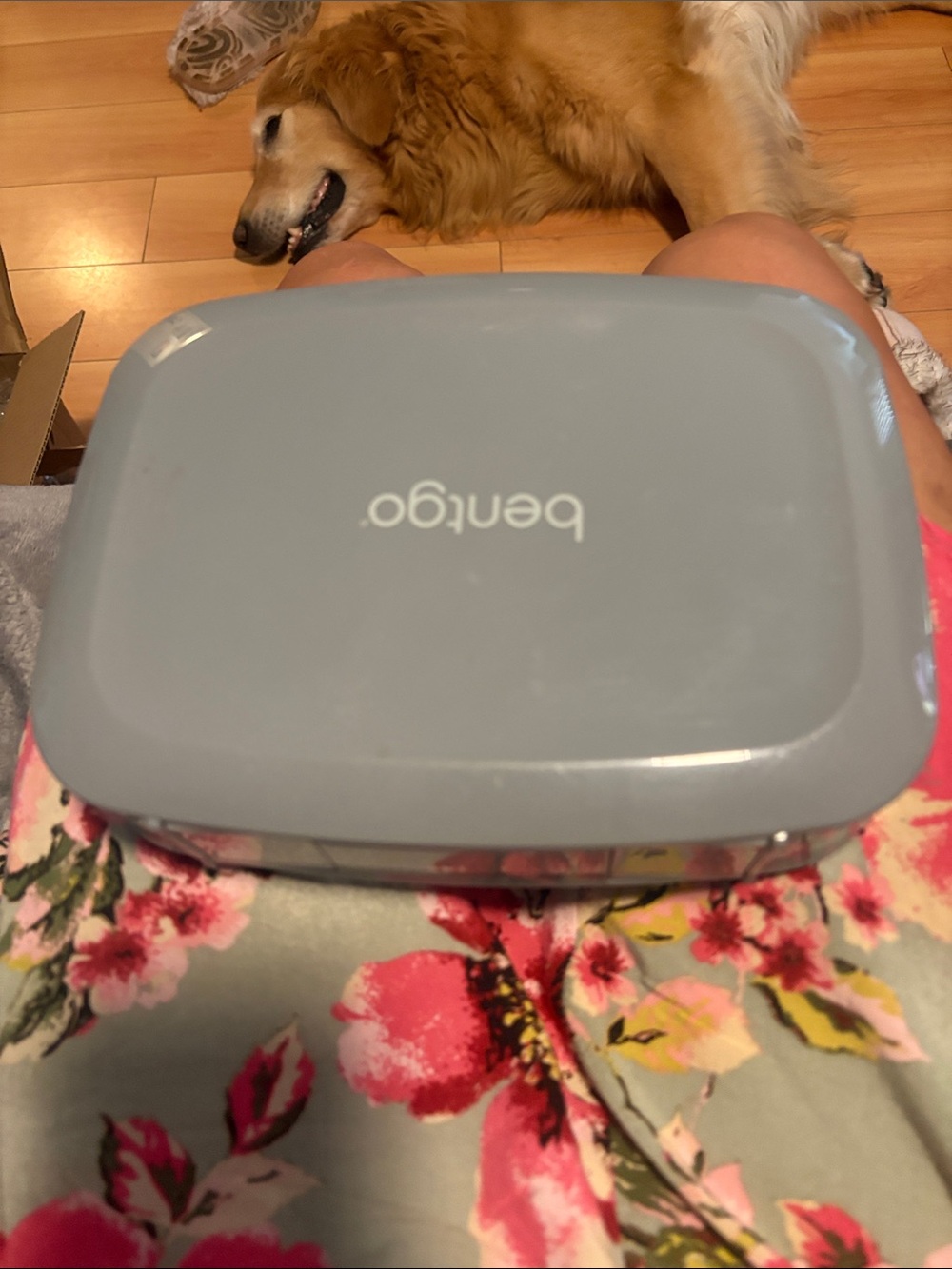 Benego Light grey lunch box